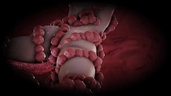 [ばにぃうぉか]のネトラレ记録淫艶の汤迷える子羊たちの連続射精「砂の馆第二奸