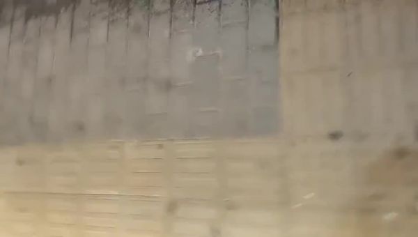 光头强寻欢 啪啪 20220111