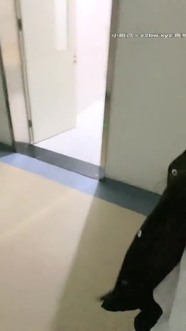 2021.1.27帝都疫情下首次挑战到医院的厕所啪啪【avove】撸管必备好片小骚货真是男人榨汁机淫水被舔的喷射