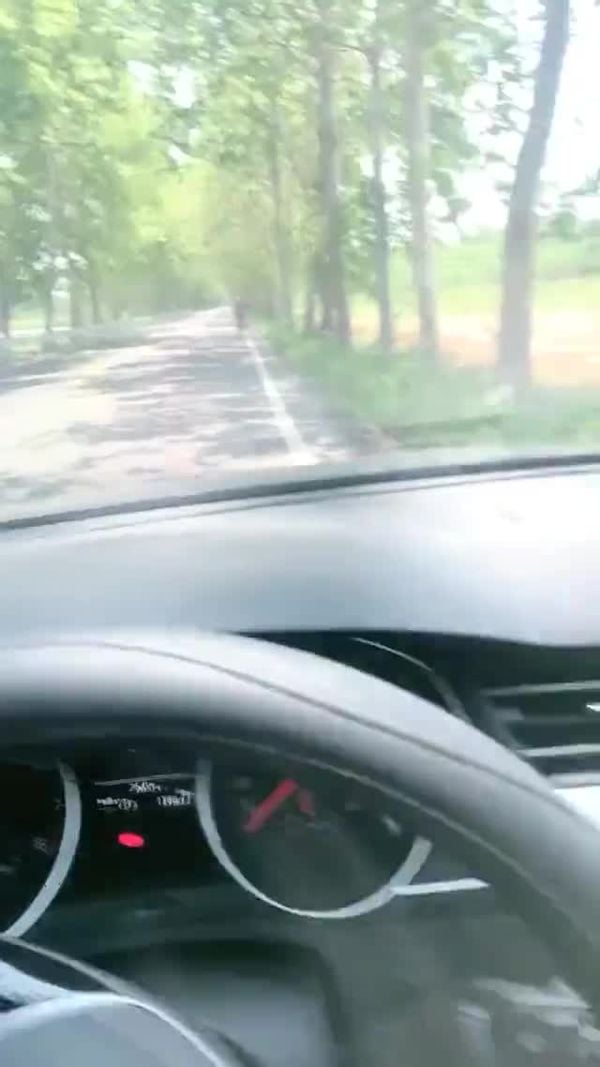 Avove 车震啪啪 20210531