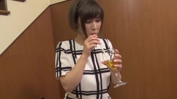 THE 未公开 -羞耻放尿大作戦5- 折原ほのか